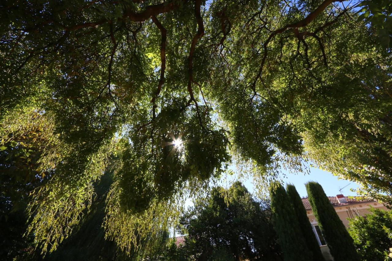 Maison Piloni LʼIsle-sur-la-Sorgue Dış mekan fotoğraf