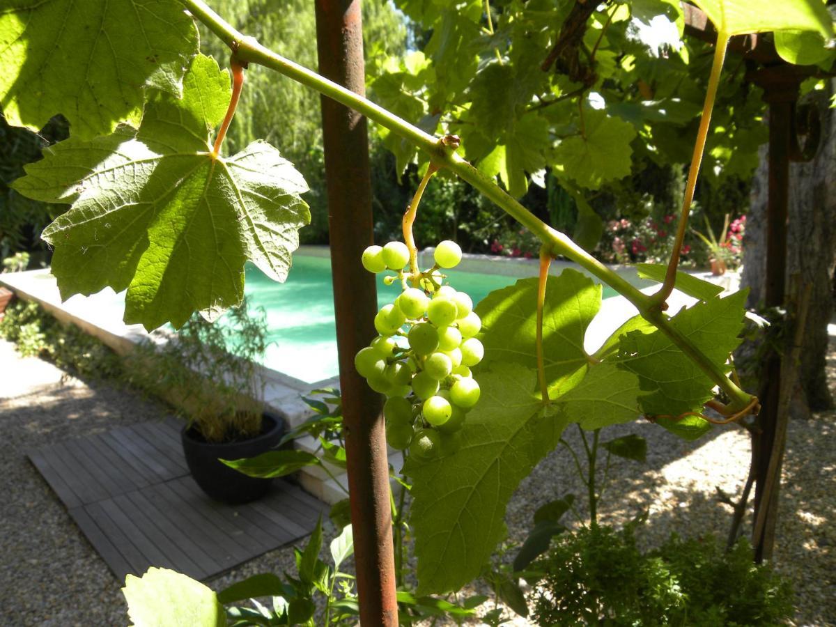 Maison Piloni LʼIsle-sur-la-Sorgue Dış mekan fotoğraf